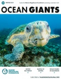 Ocean Giants - Issue 04 - MMF [2021, PDF] - Marine bulletins
